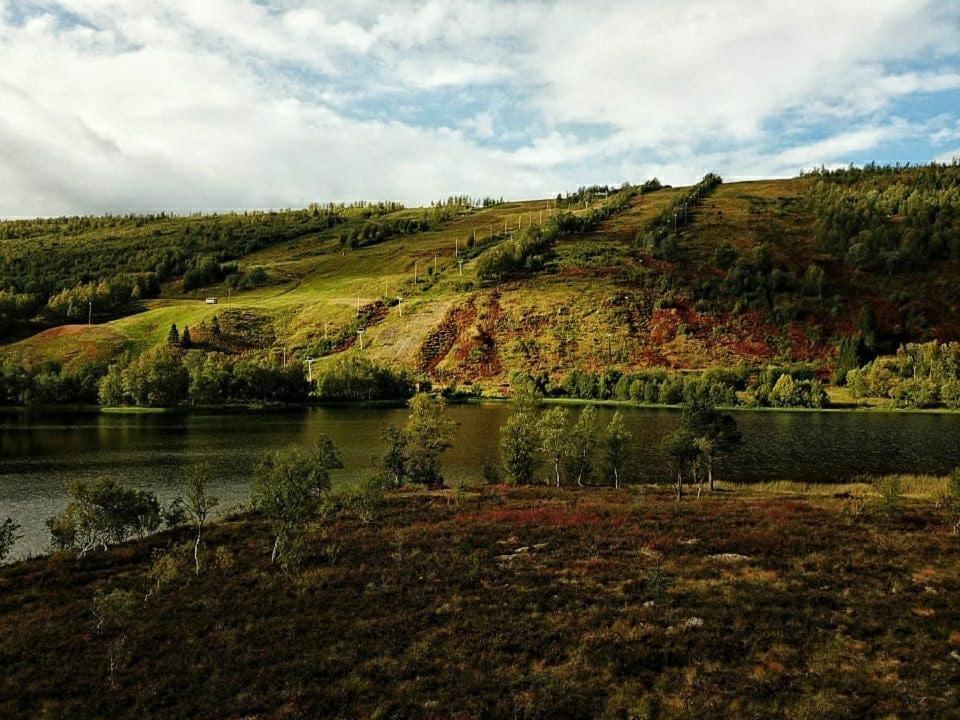 Vestvatn - Arctic Cabins Brekke  Екстер'єр фото